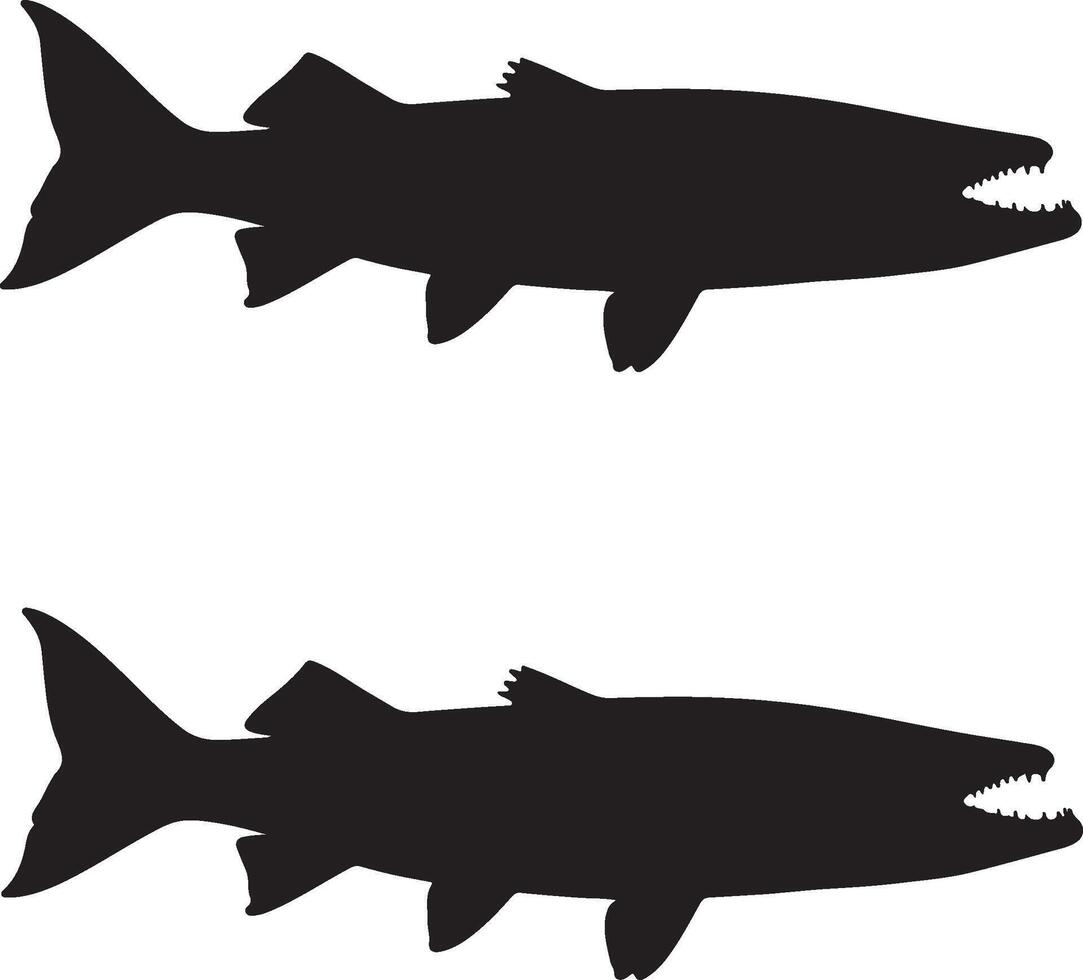 Barracuda Solid black silhouette vector