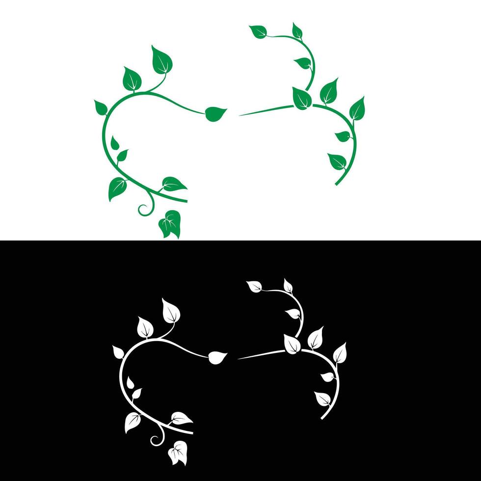 A green and white vine with leaves on it vector