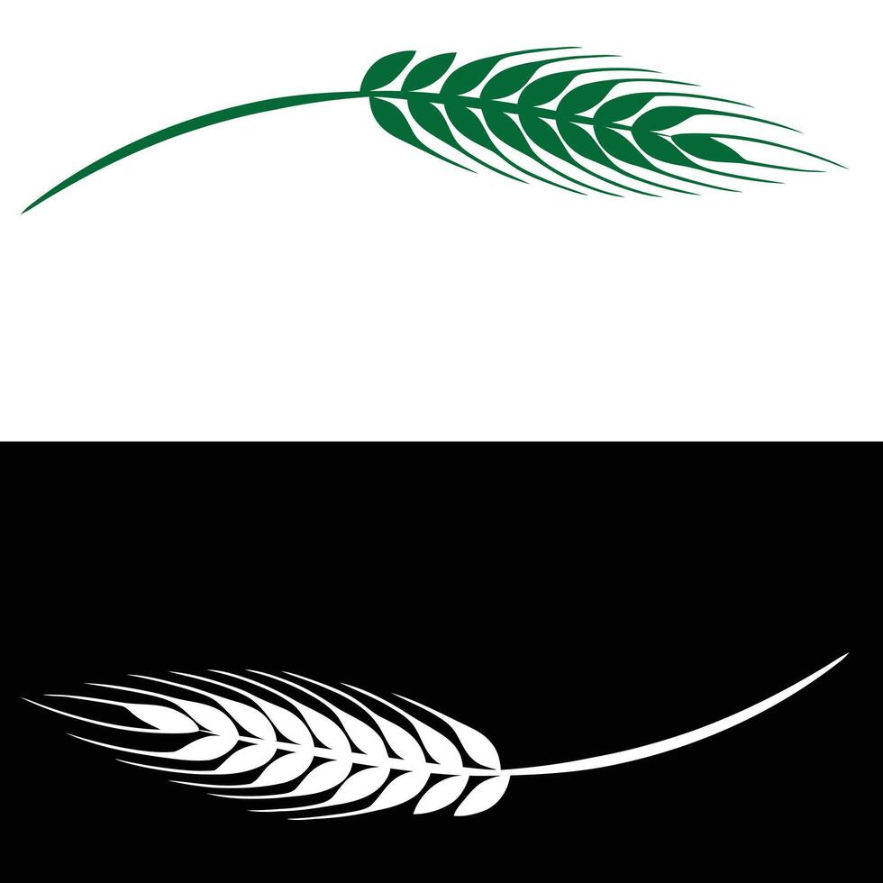 Two wheat leaves on a black and white background vector