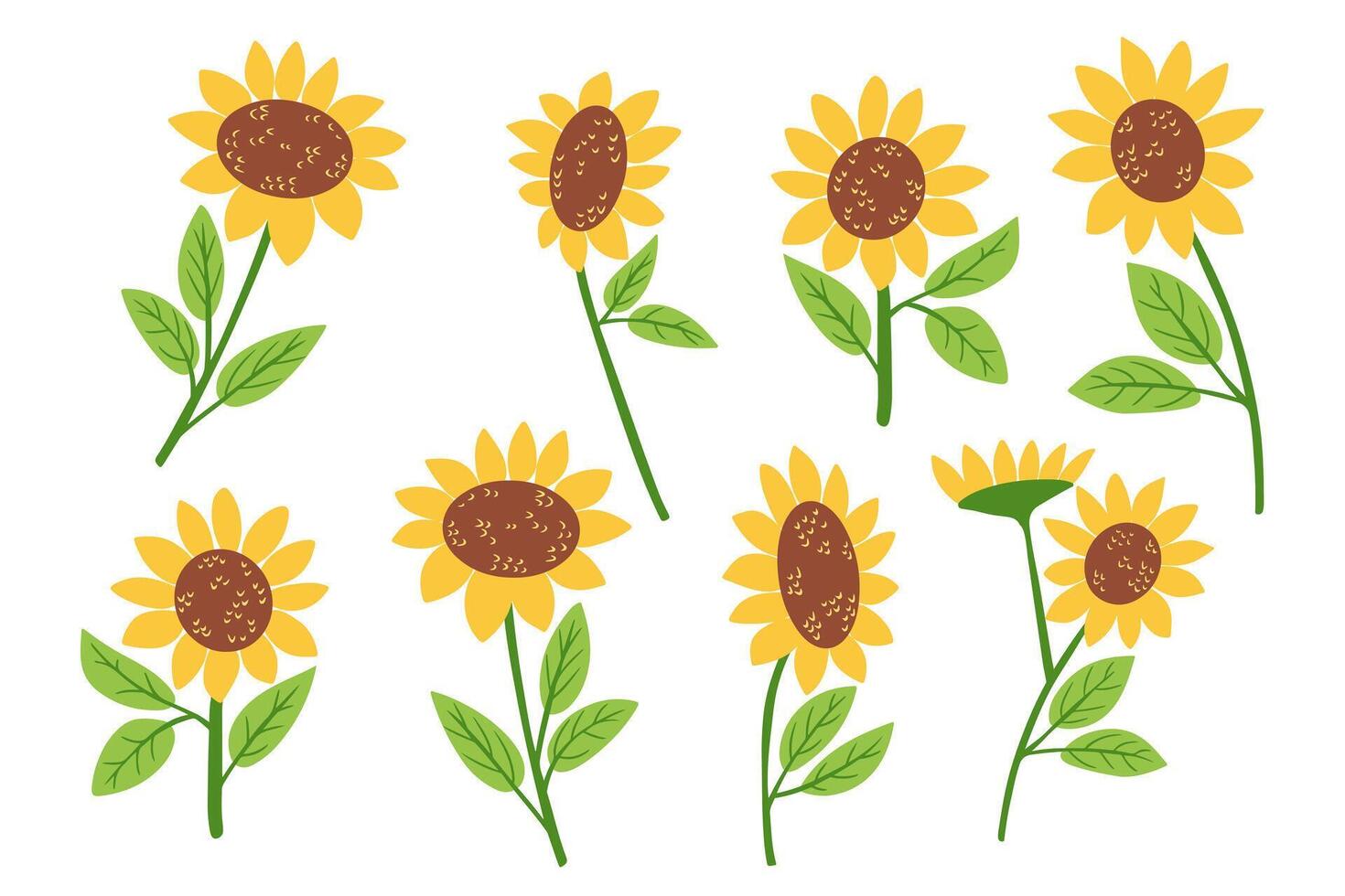 Hand drawn set of bright yellow sunflowers with green leaves in different positions on white background. This symbolizes summer warmth, happiness and natural beauty. vector