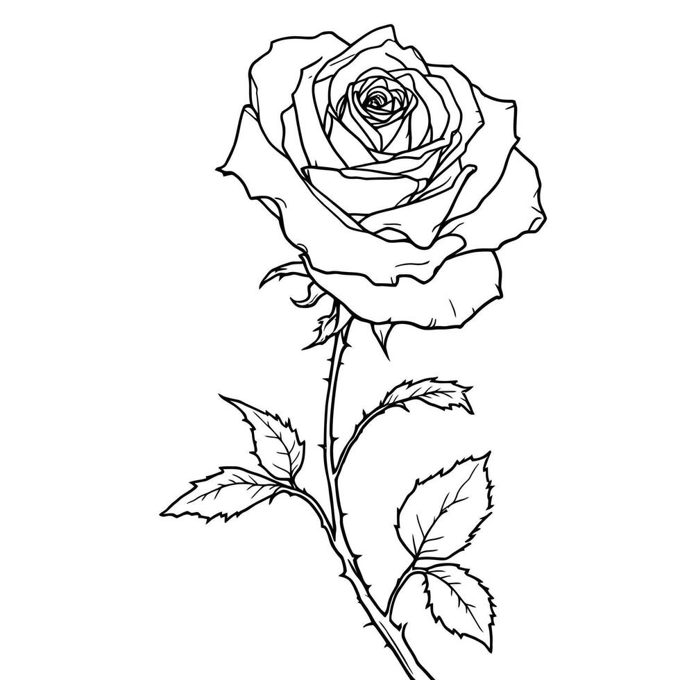 Detailed Line Art Single Rose Flower Stem with Leaves and Thorns for Coloring Pages and Art Projects vector