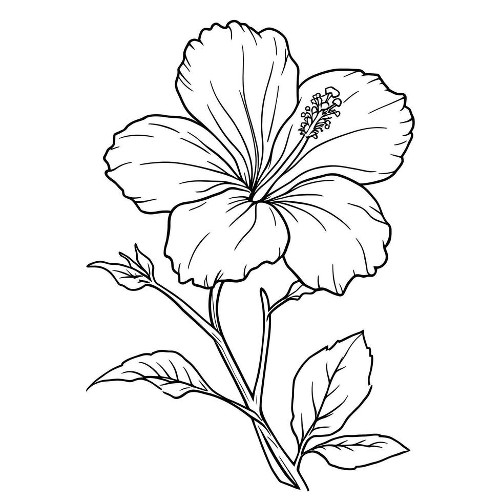 Elegant Hibiscus Flower Line Art for Coloring Pages and Designs vector