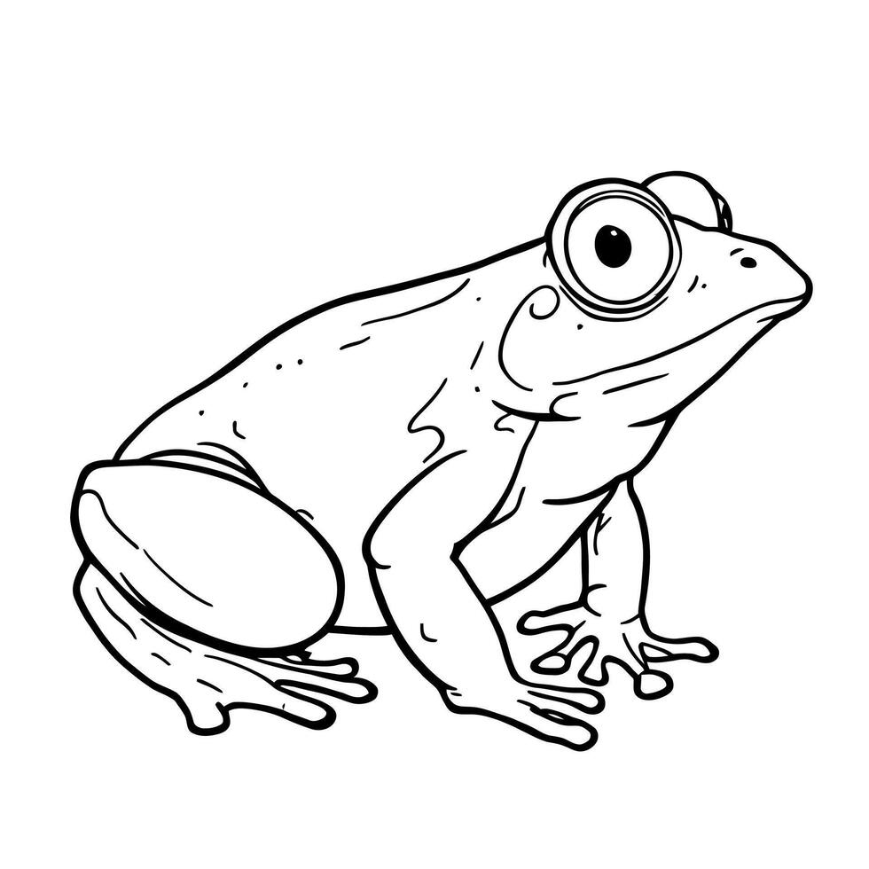Cute cartoon frog line art drawing for coloring pages and illustrations featuring big eyes vector