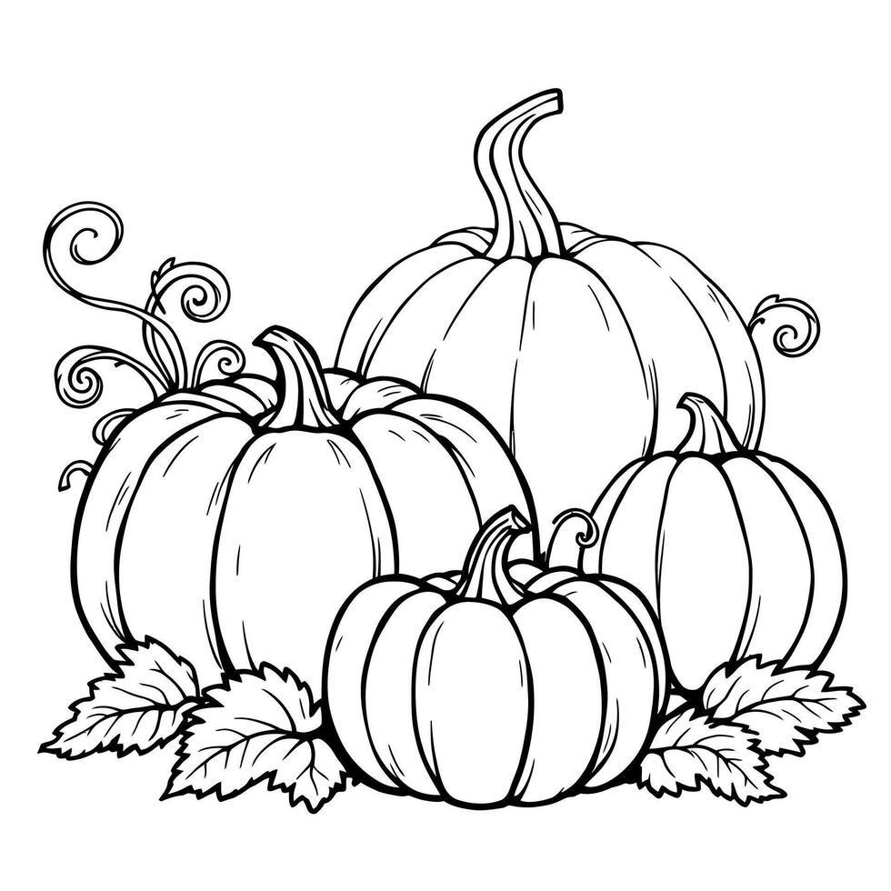 Decorative Autumn Harvest Pumpkins Arrangement for Seasonal Celebration and Thanksgiving Day Coloring Activities vector