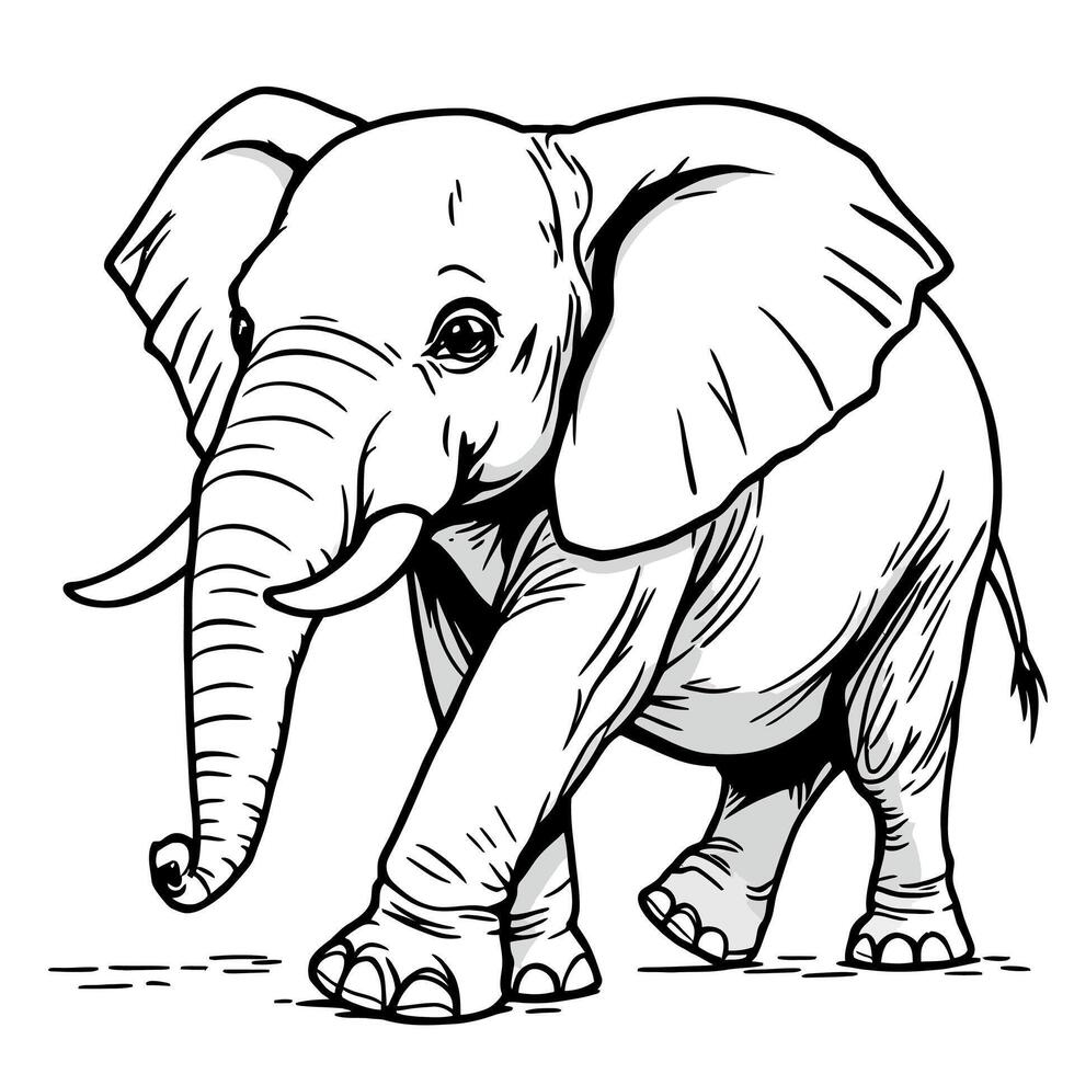 African Elephant Walking Calmly in a Savanna Line Art Coloring Page for Adults and Kids vector