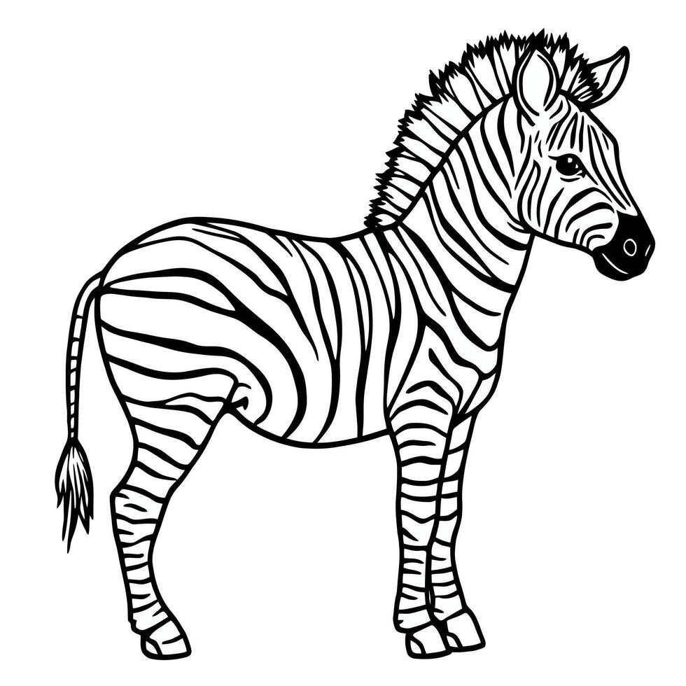 African Wildlife Zebra Line Art Coloring Page for Kids and Adults Simple vector