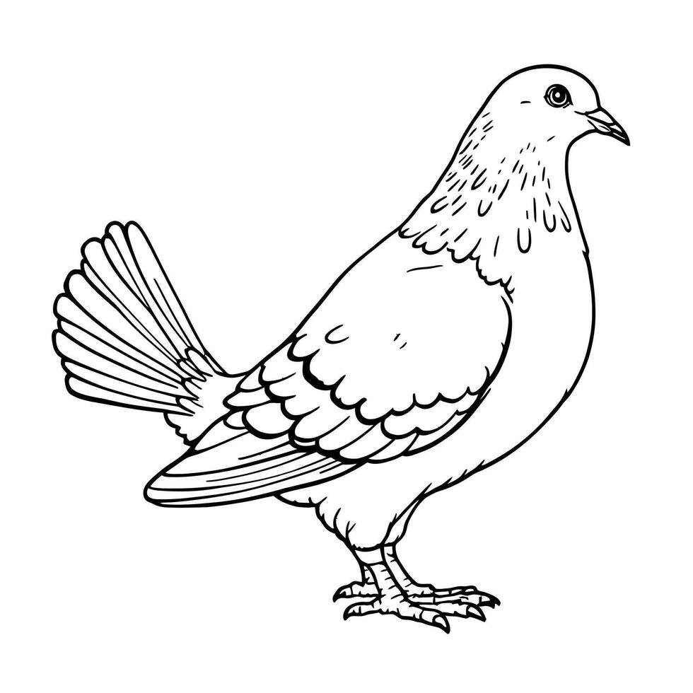 Simple Line Art Coloring Page of a Dove or Pigeon Standing Side View vector