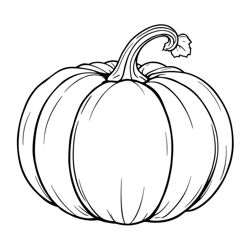Simple Line Art Coloring Page of a Round Pumpkin with a Curved Stem and Leafy Detail vector