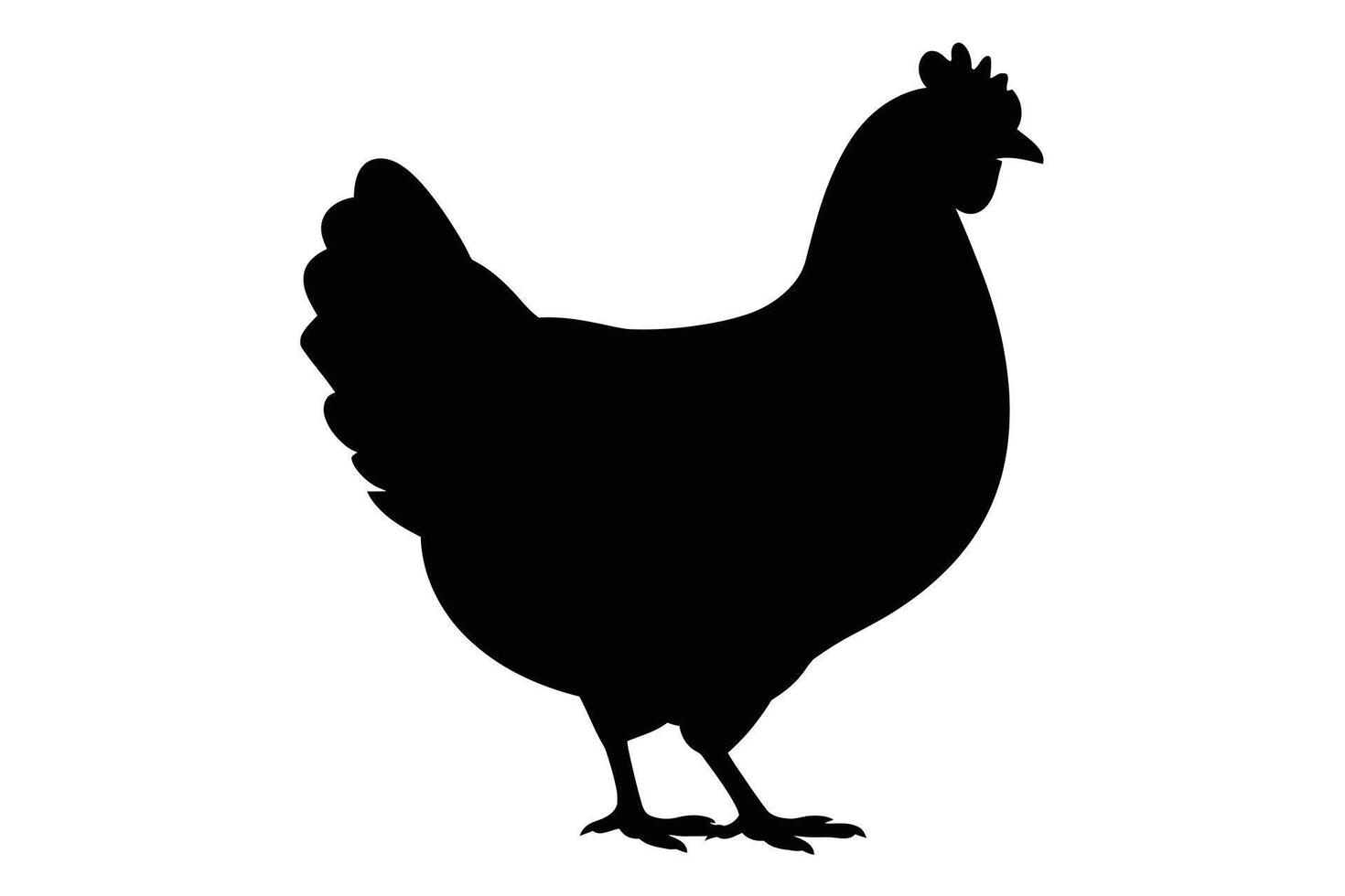 Black Chicken Silhouette on White Background fowl bird vector