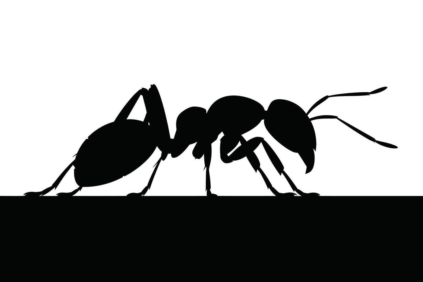 Black Ant Silhouette on White Background insect vector