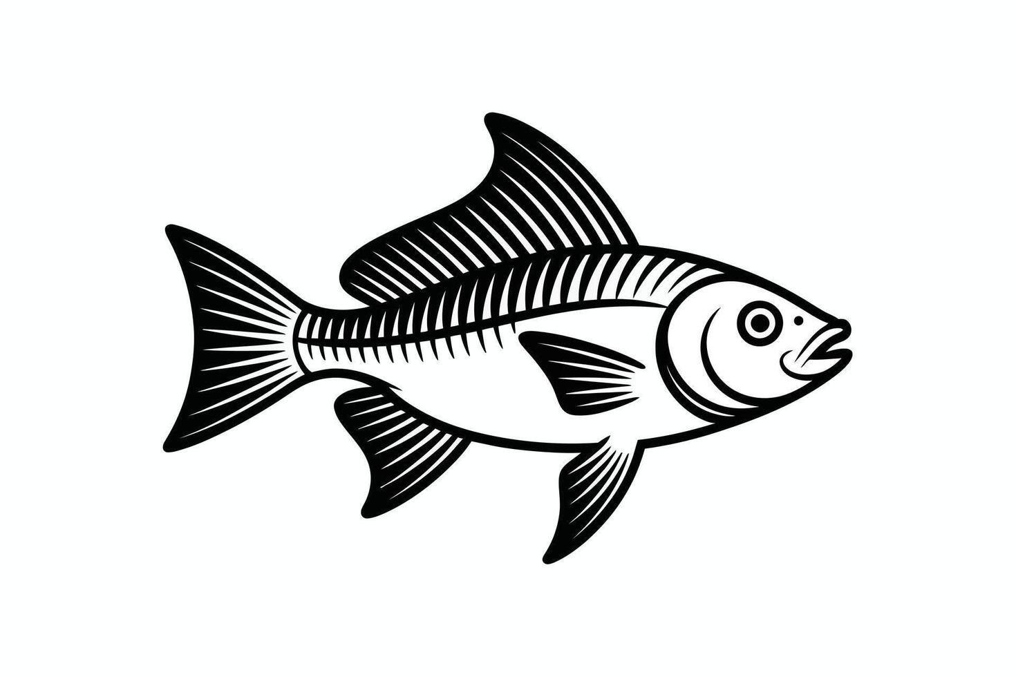 Black and white fish illustration with visible ribcage and fins on white background vector