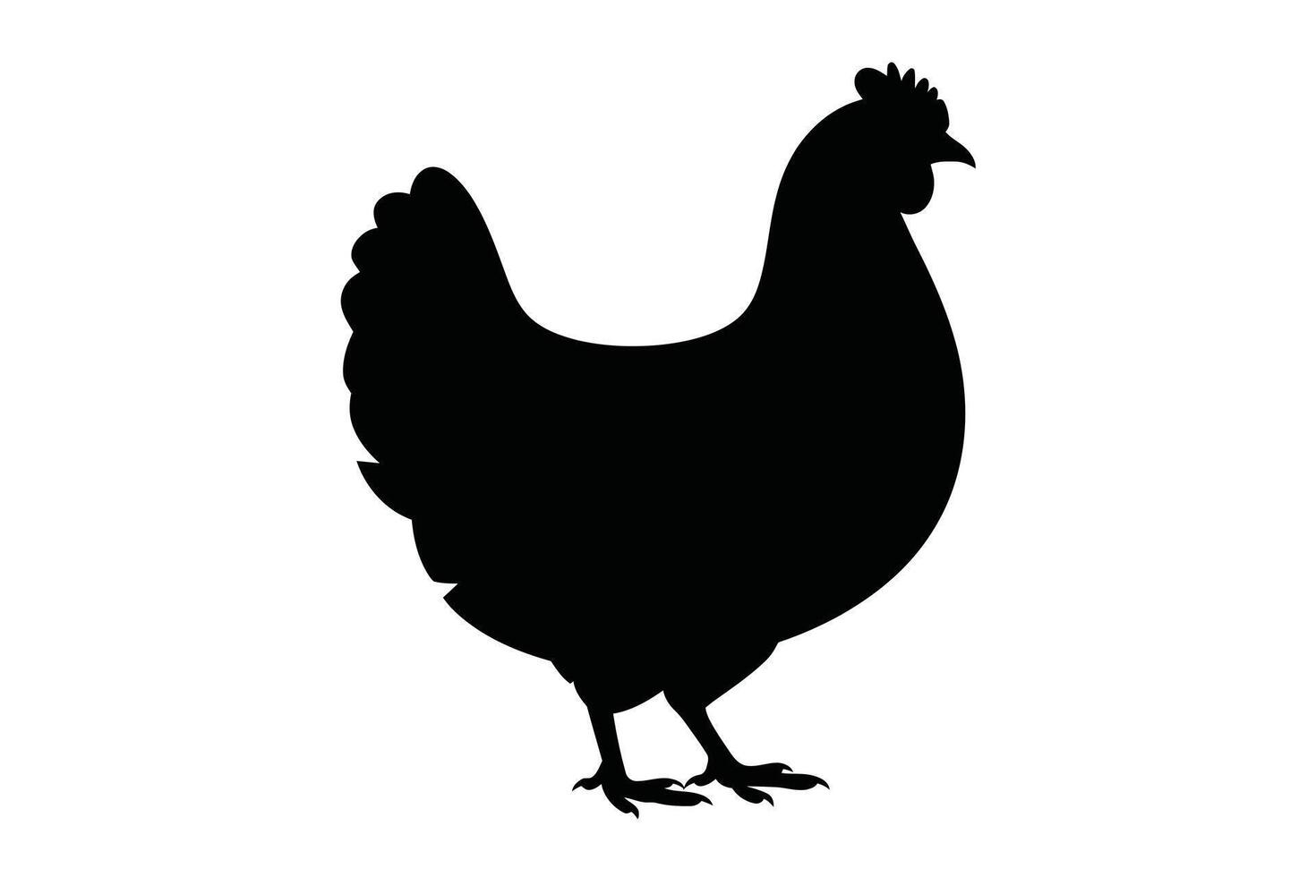 Black Silhouette of a Chicken on White Background fowl vector