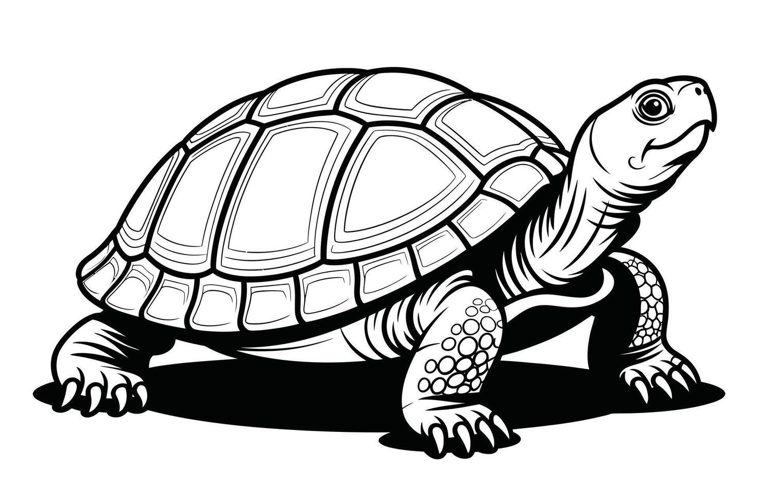Black and white illustration of a turtle with detailed shell and claws vector