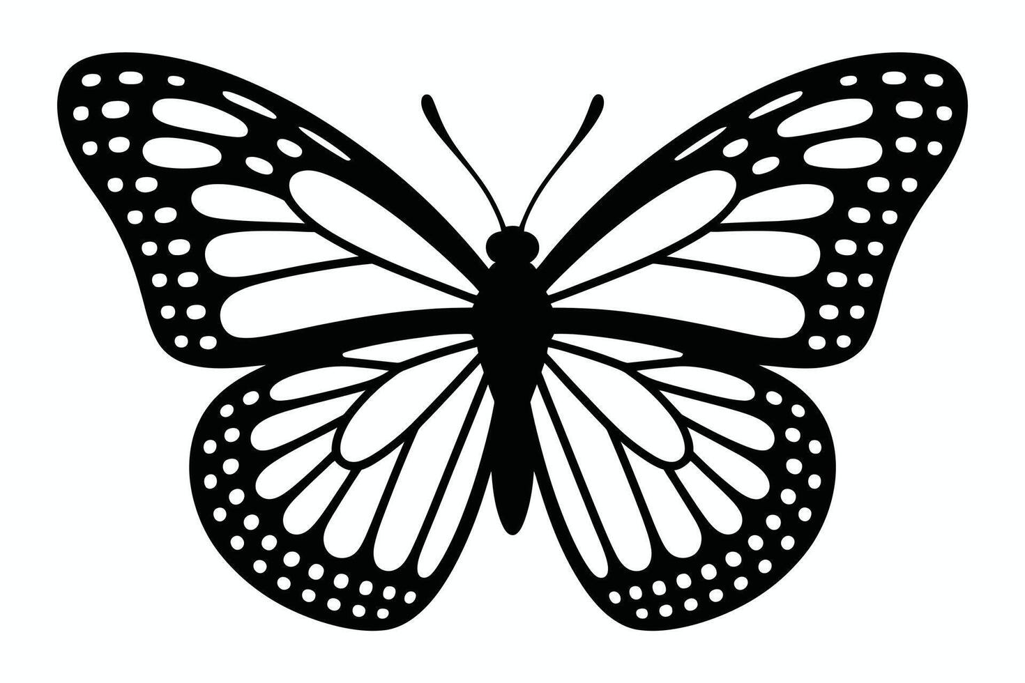 Black and white butterfly illustration with detailed wing patterns on white background vector