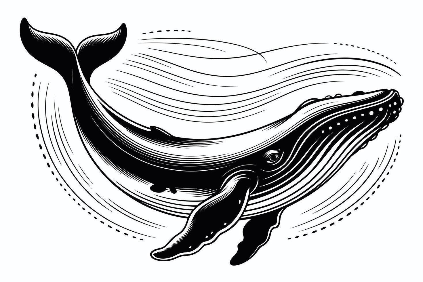 Black and white whale illustration with flowing lines and dotted accents vector