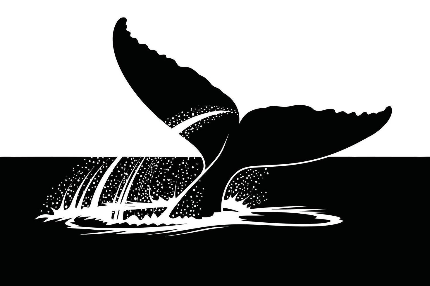 Black and White Whale Tail Illustration with Water Splash vector