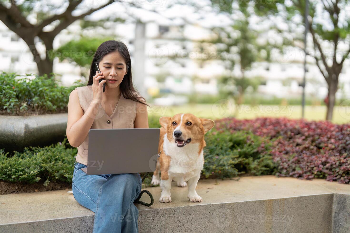 Remote Work and Pet Companionship. Woman on phone while working on laptop with her corgi dog nearby. photo