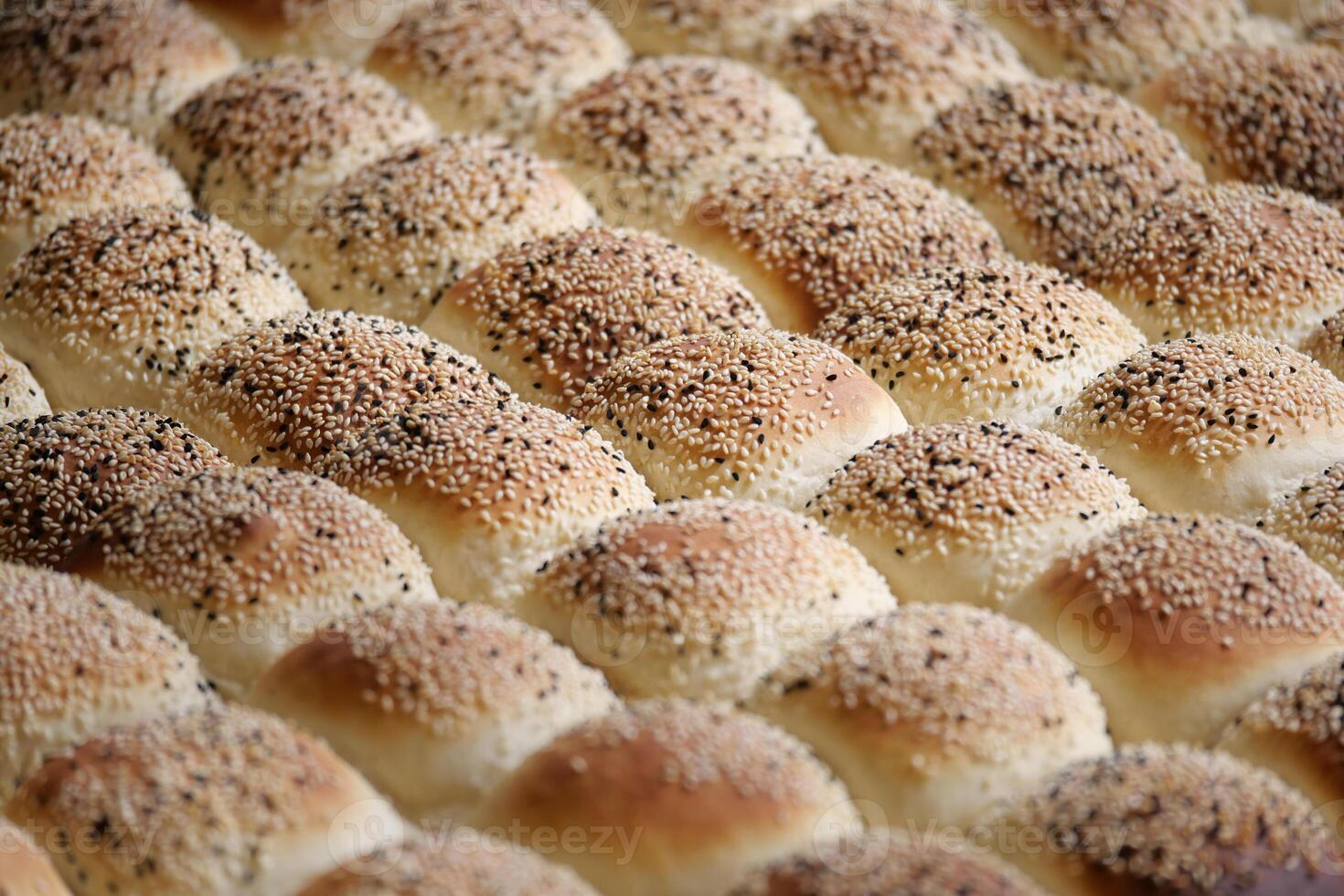 Freshly baked sesame rolls arranged in neat rows photo