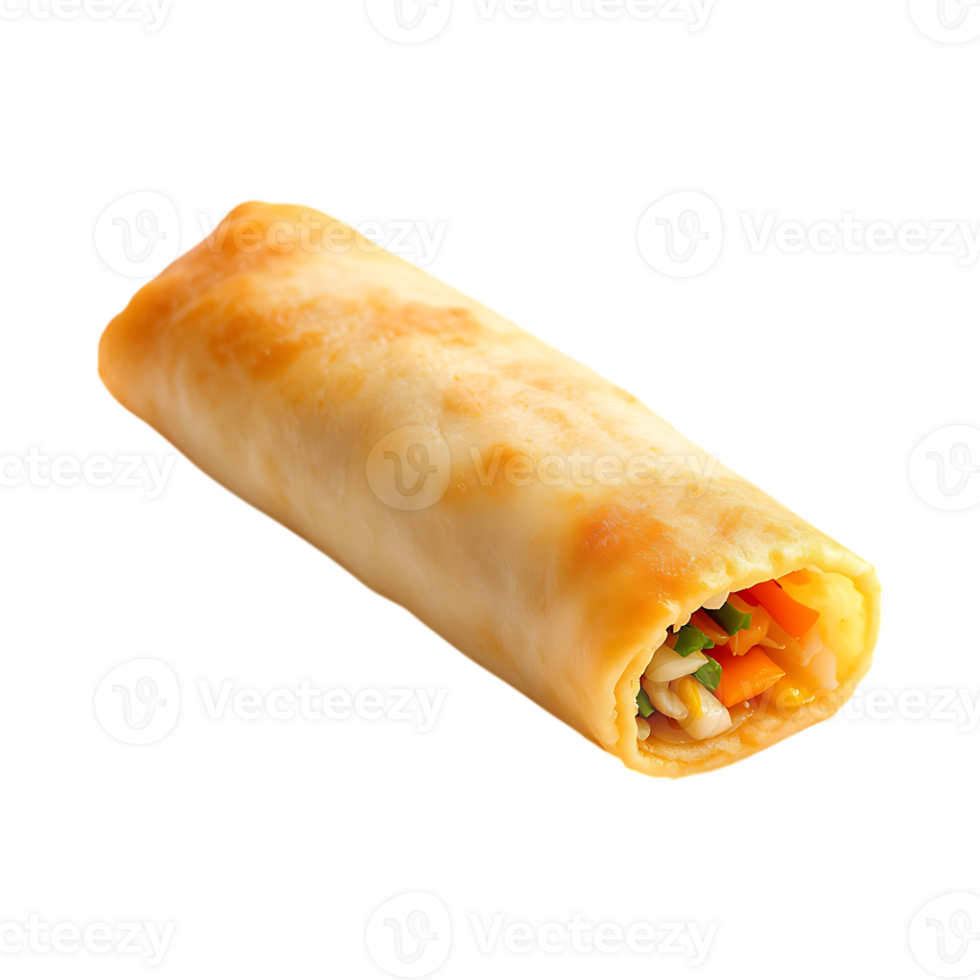 Single fried spring roll isolated png