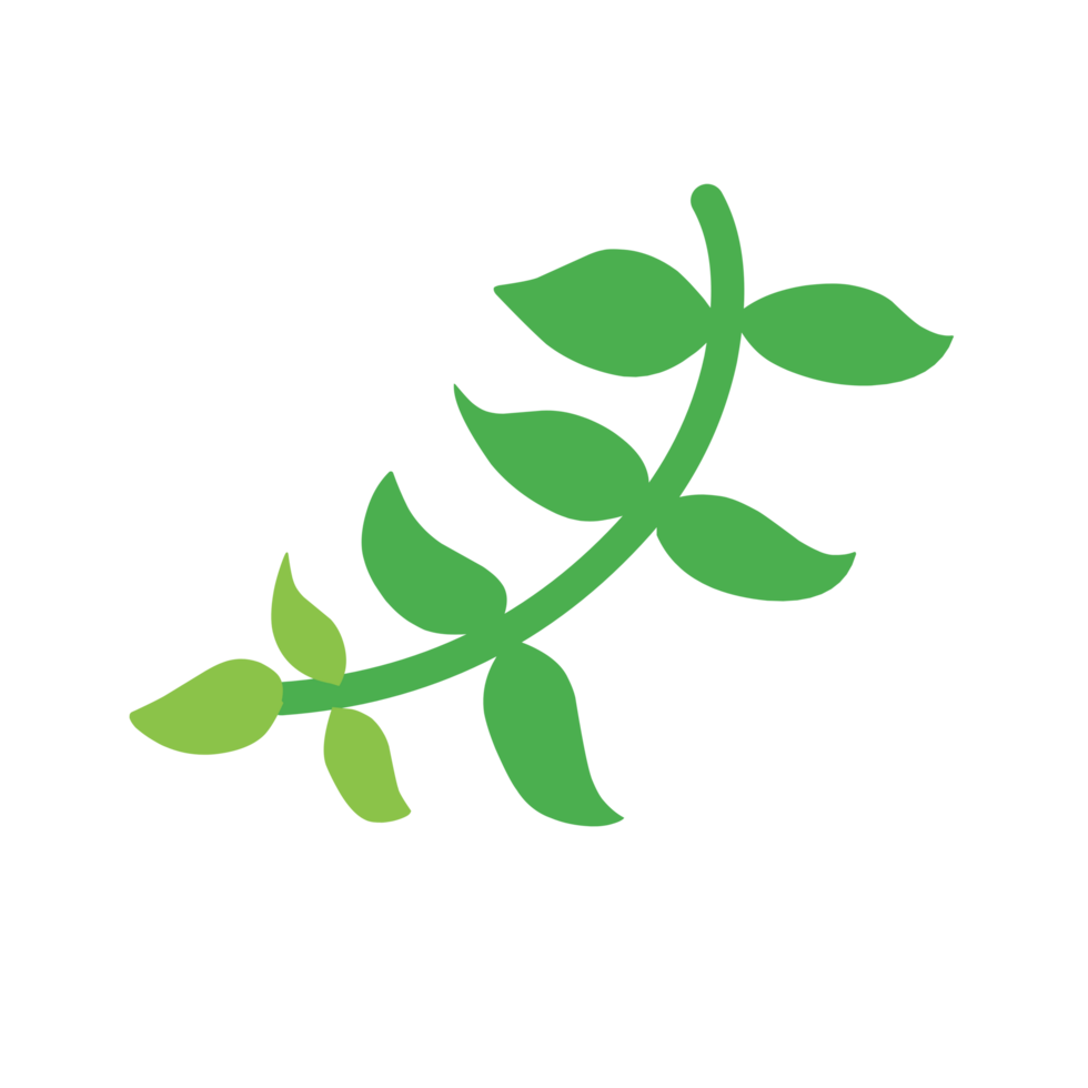 Cute green leaves with stalks png