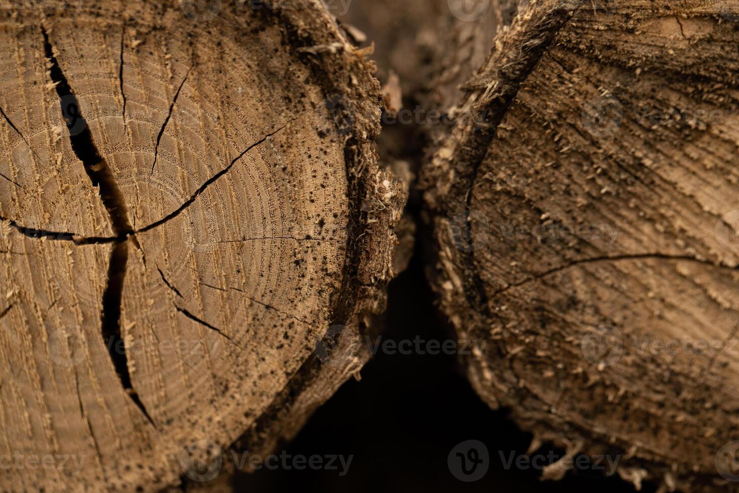 Close-up of a Stacked Pile of Firewood photo