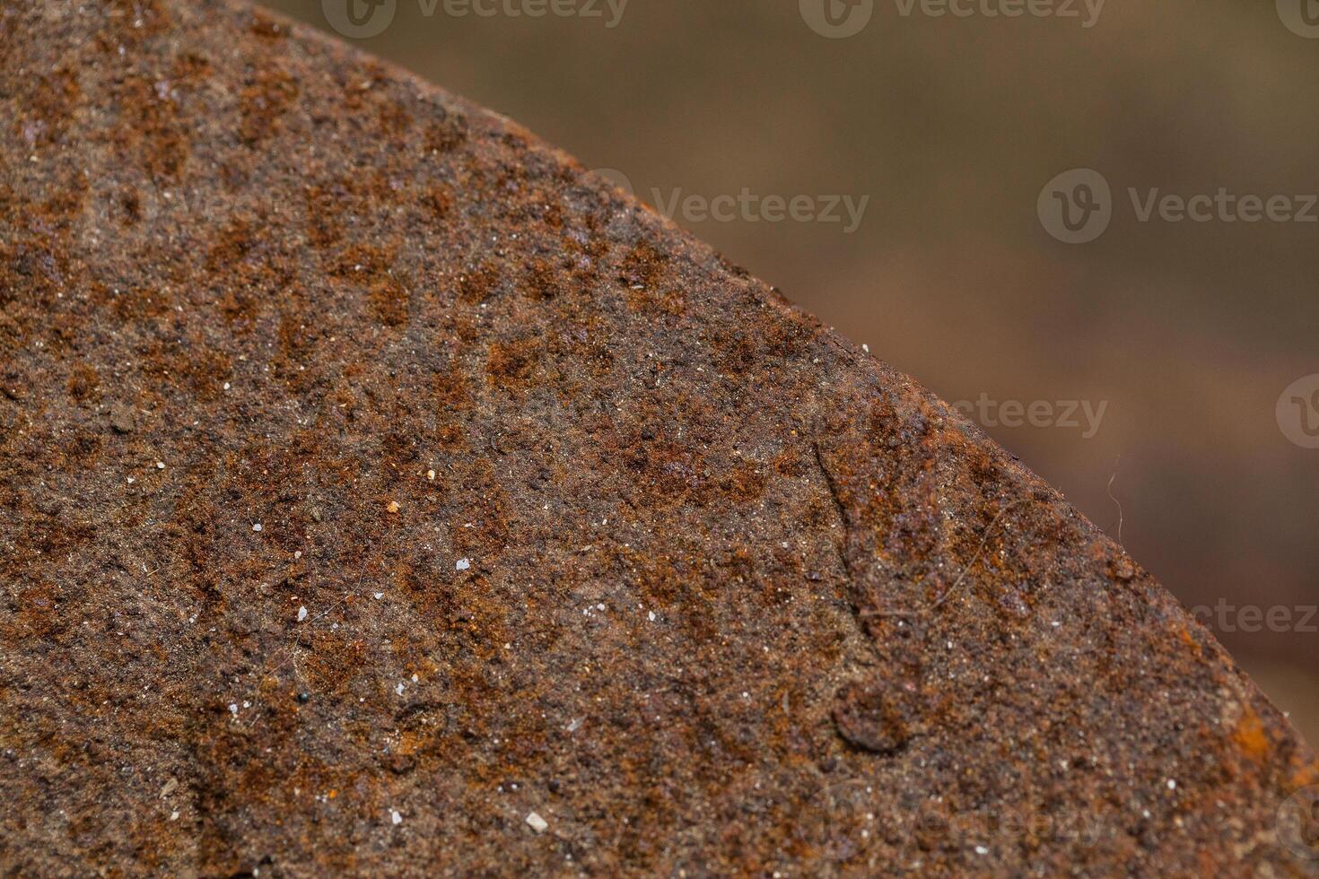 Close-up of a rusty metal surface with detailed texture. photo
