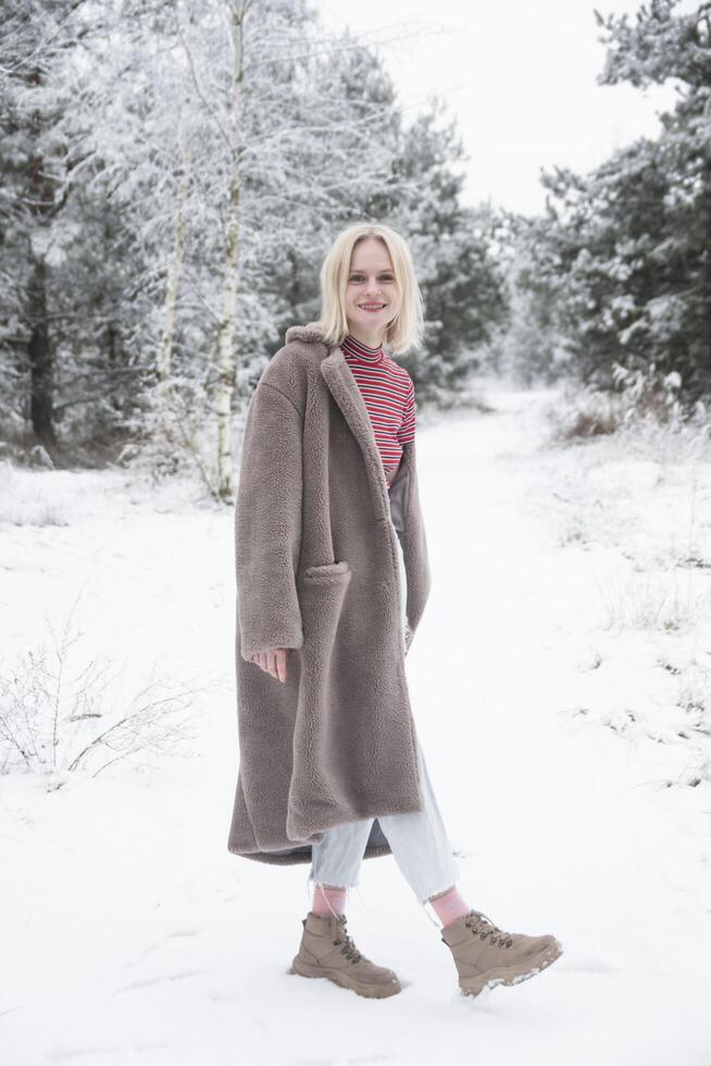Frosty forest with holiday mood photo