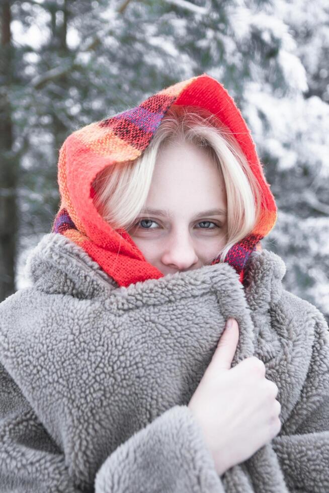 Young woman posing in snowy scenery photo