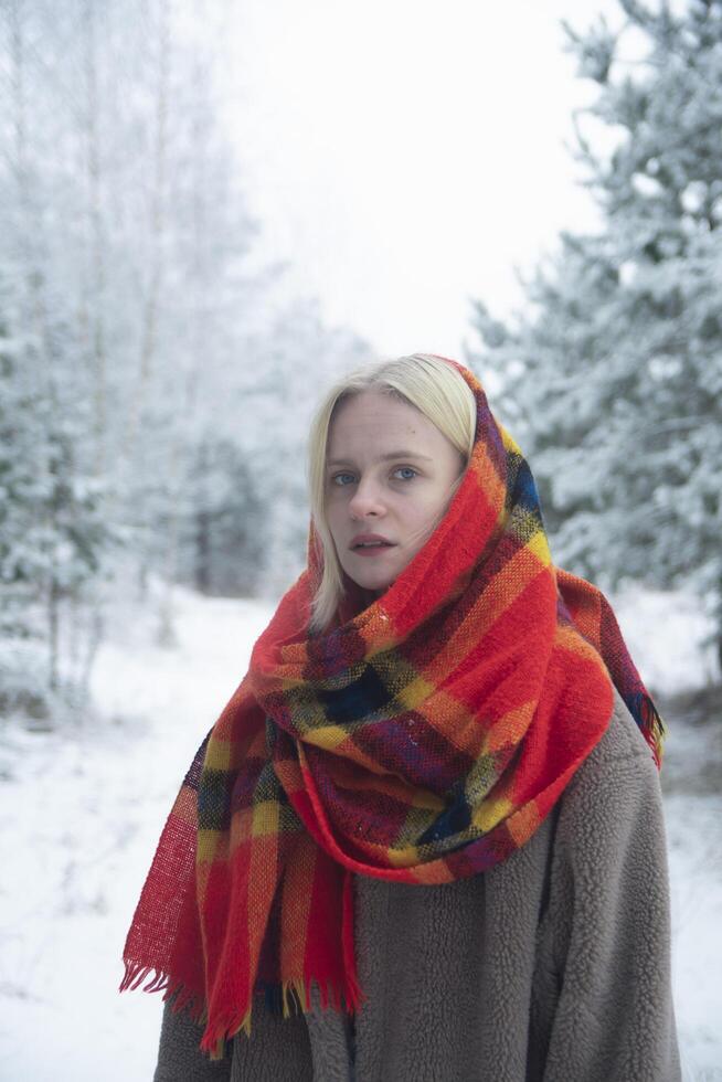 Portrait of woman under snow-covered trees photo