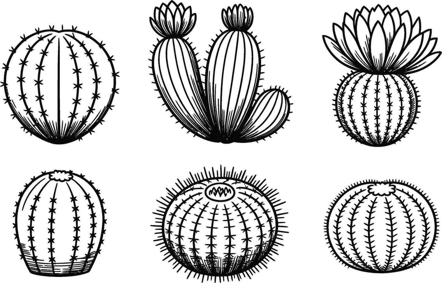 Black and White Cactus Illustrations on White Background vector