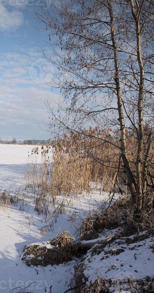 the winter frozen lake after night frosts photo