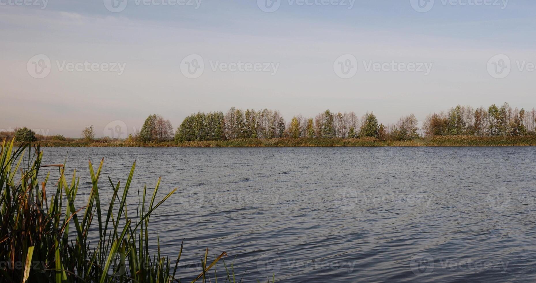 a lake with muddy water in the autumn photo