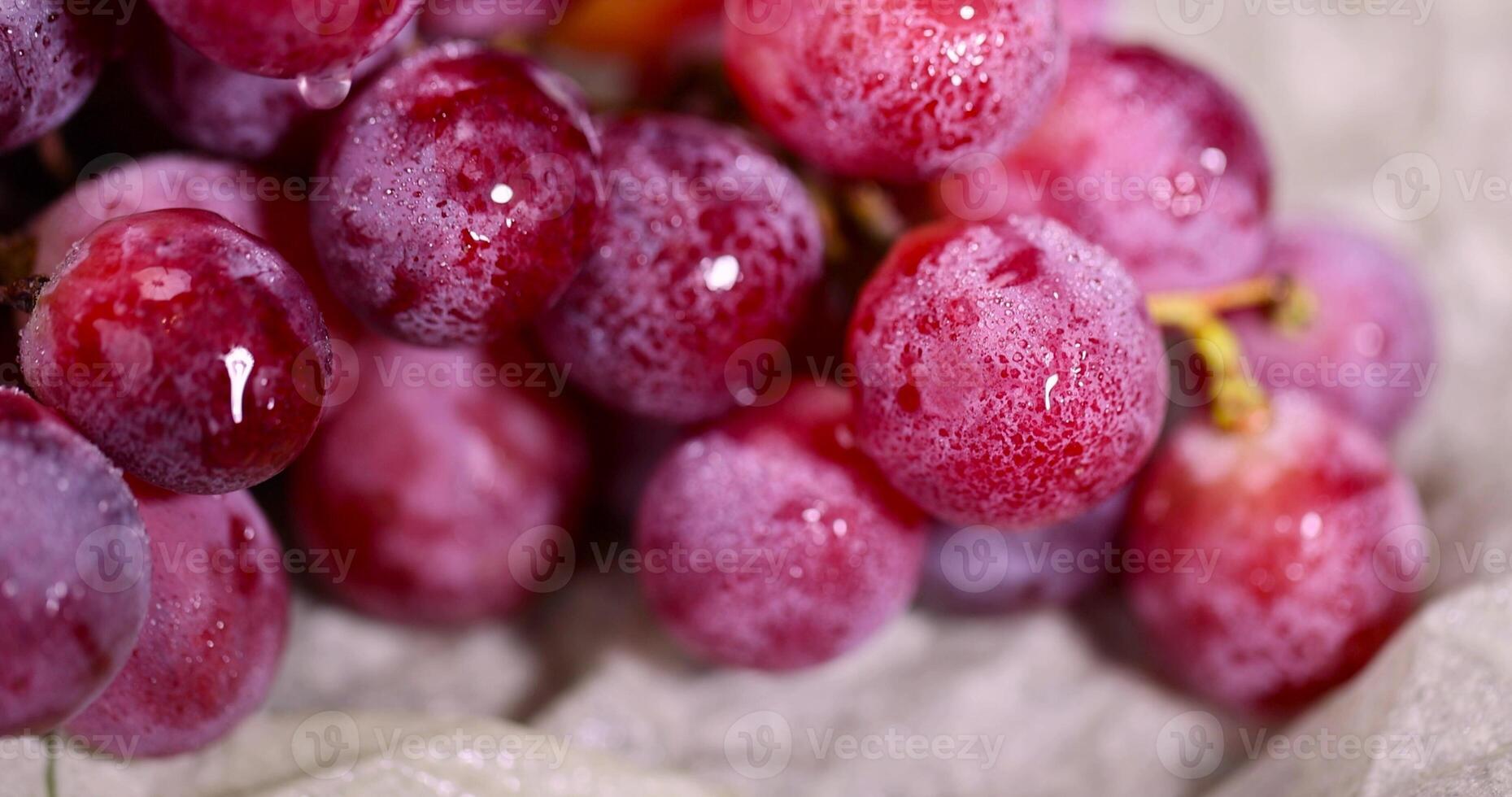wet grapes after washing, wet grapes safe for eating close up photo