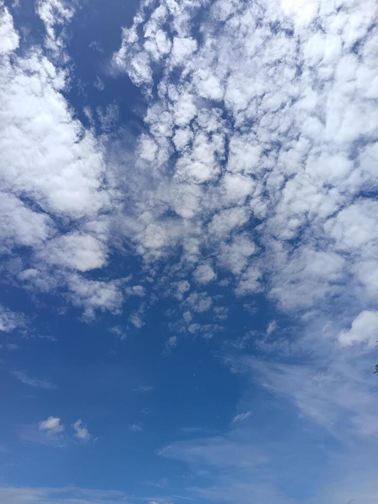 a blue sky with clouds and palm trees photo