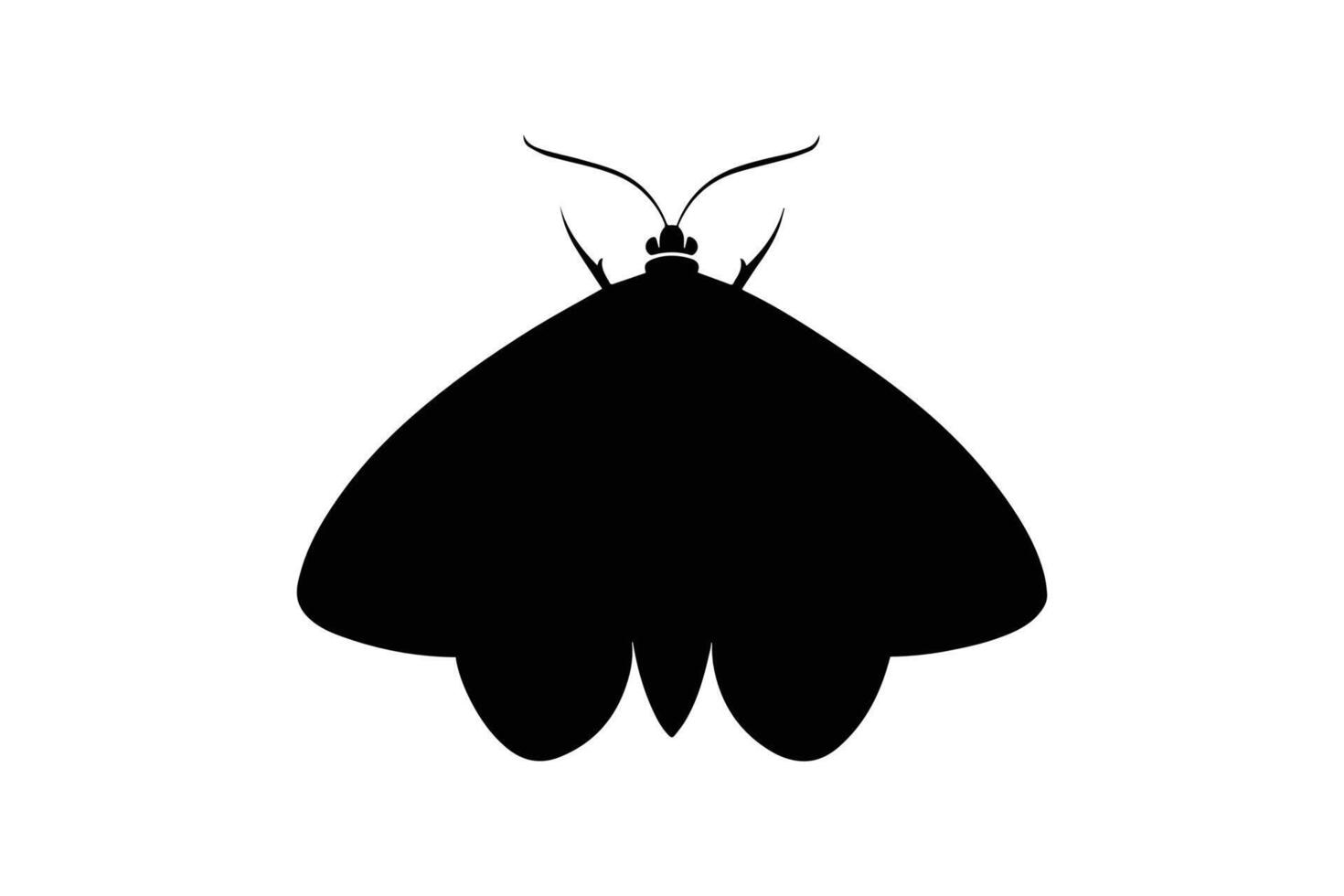 Silhouette of a moth on a white background vector