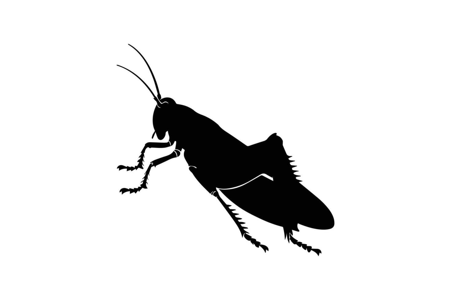 A silhouette of a grasshopper on a white background vector