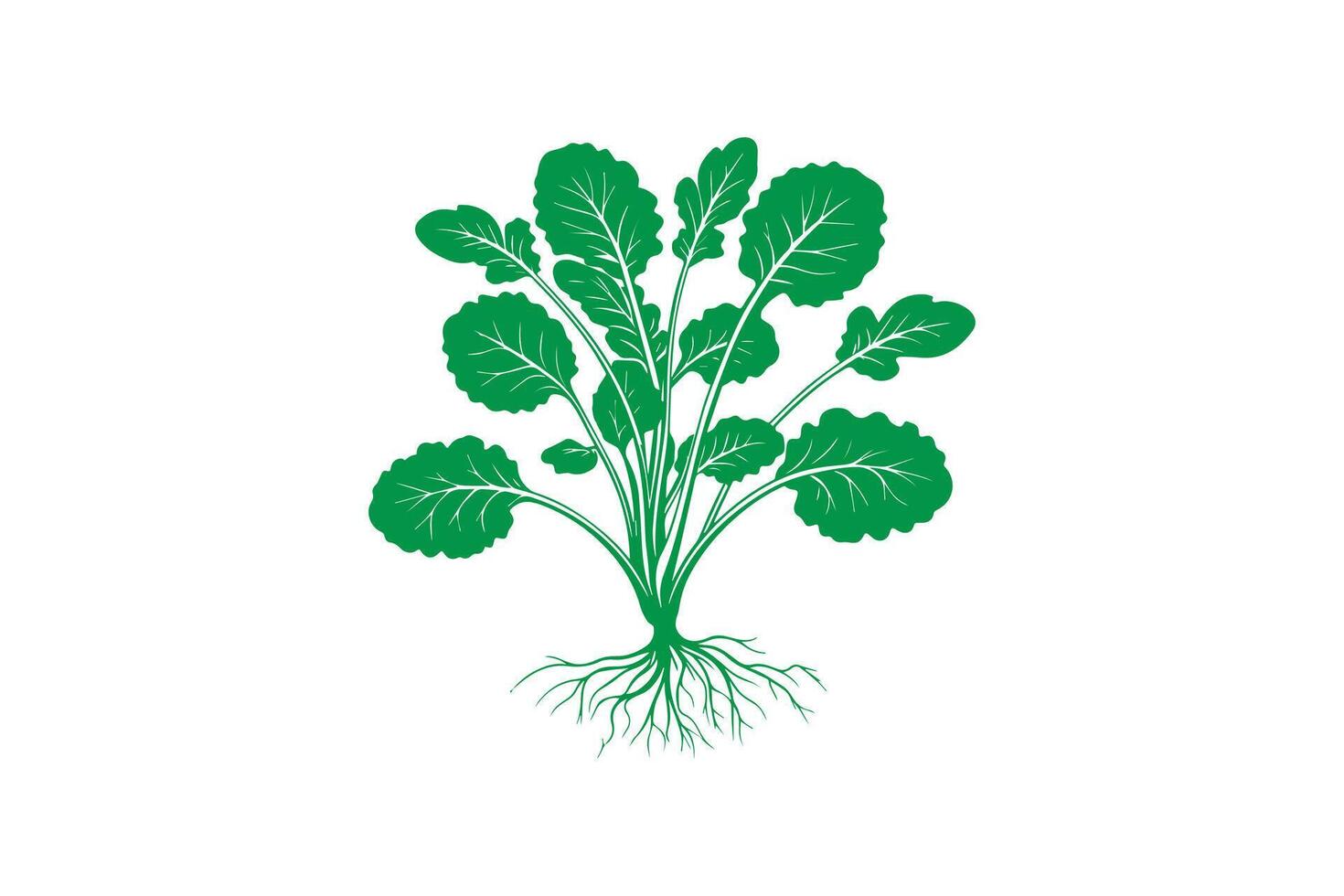 A green plant with roots on a white background vector