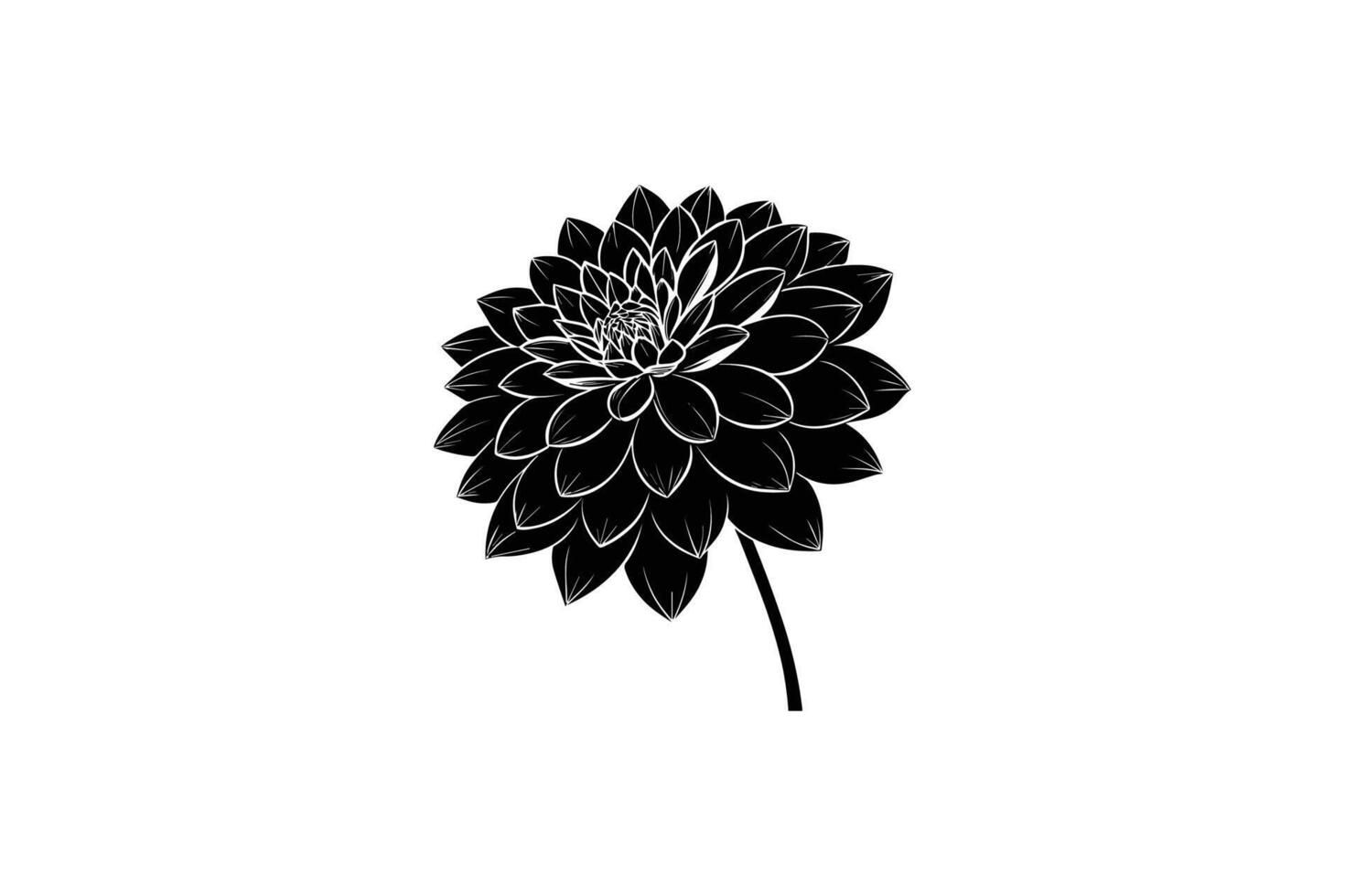 A black and white flower is shown in this illustration vector