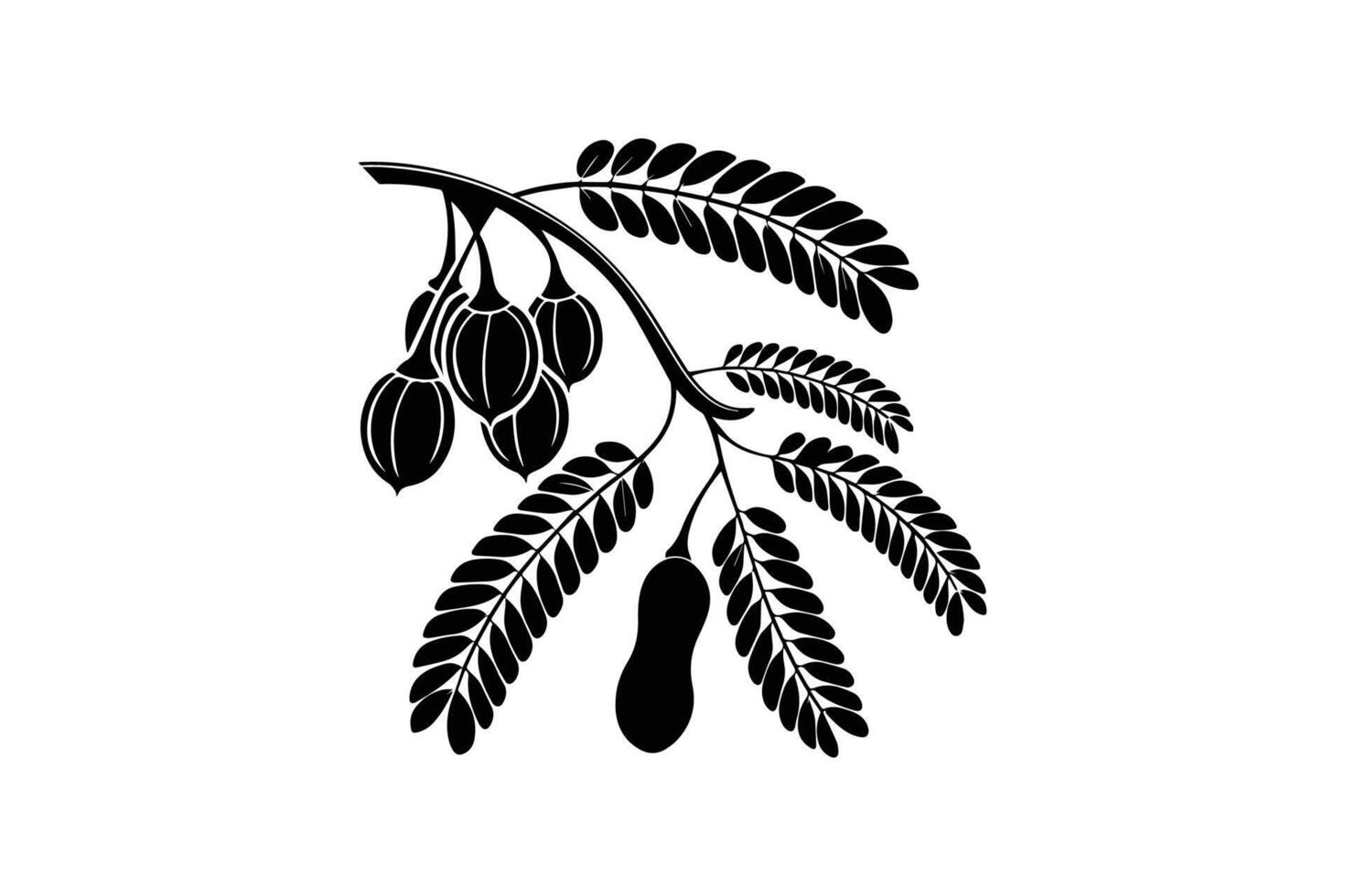A black and white illustration of a tree branch with leaves vector