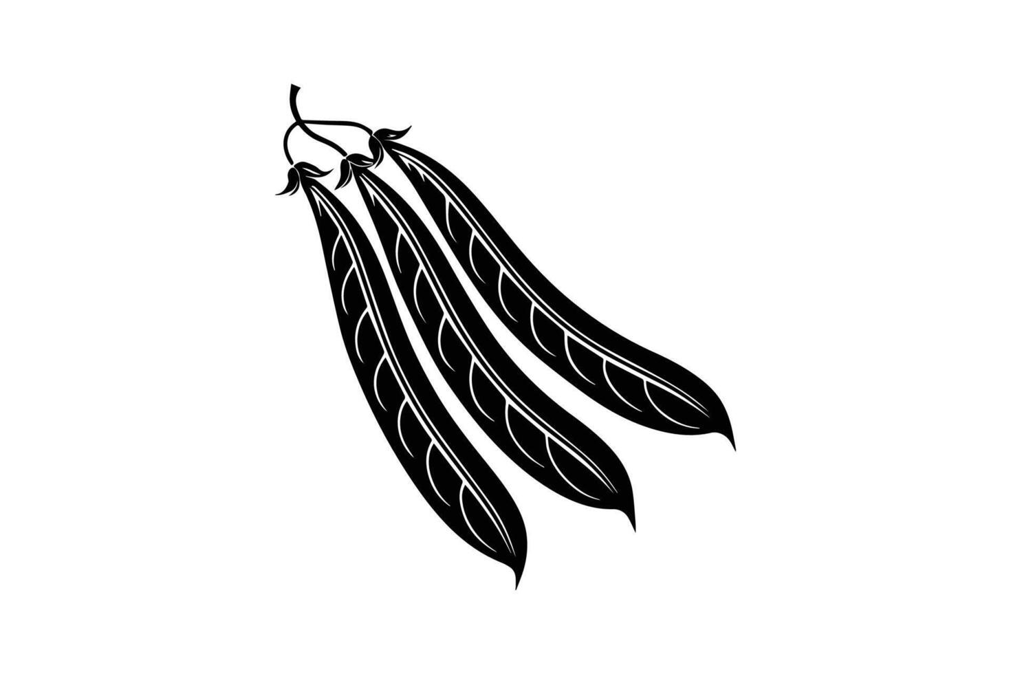 Black and white illustration of a bean pod vector