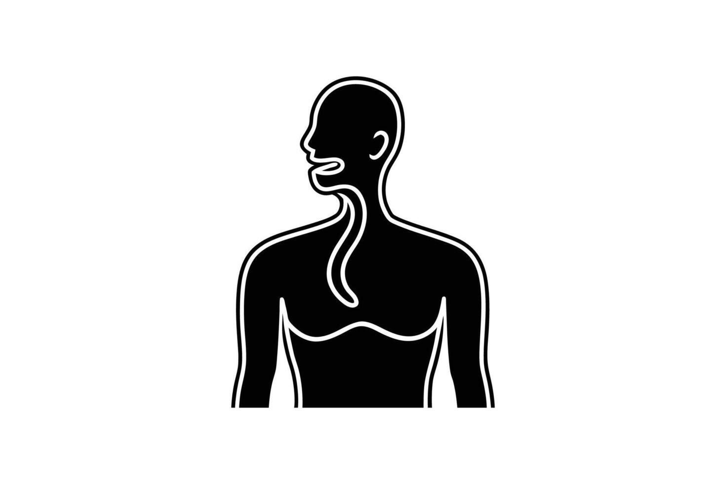 Human Esophagus and Throat Silhouette Illustration for Medical Purposes Depicting the Digestive System and Anatomy with a Black and White Silhouette vector