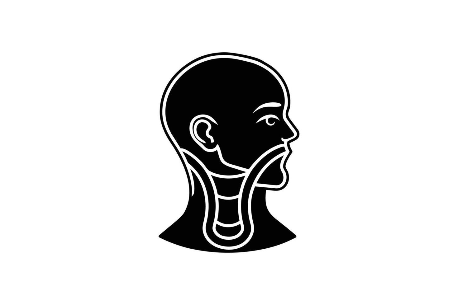 Human Head and Neck Anatomy Medical Illustration Showing Throat and Esophagus Black Silhouette vector
