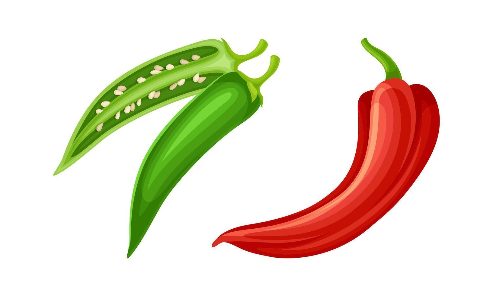 Red and green fresh chili pepper. Healthy spicy vegetables set illustration vector