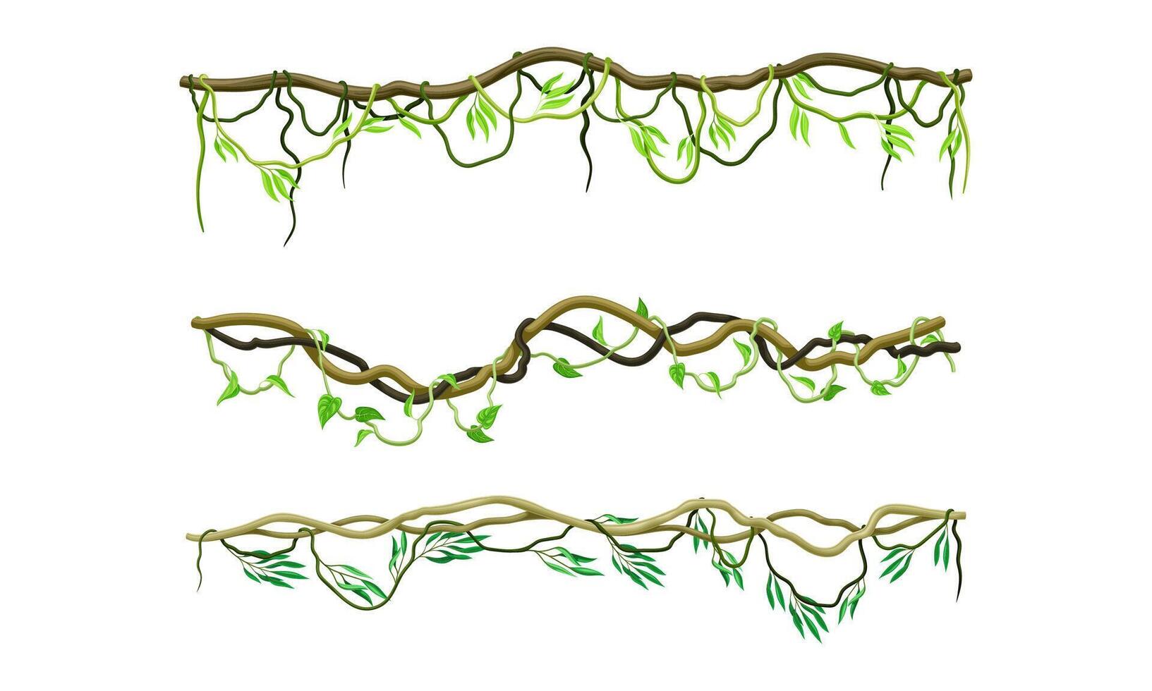 Creeper climbing branches set. Tropical vines and trees twigs with green leaves illustration vector