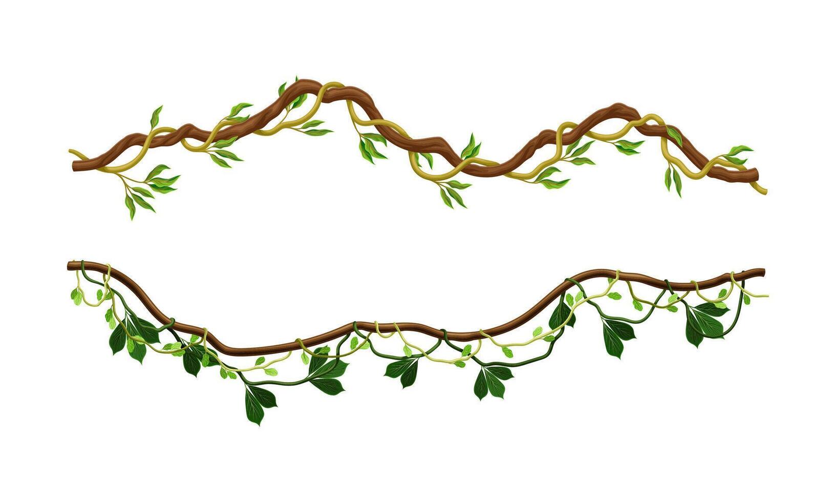 Climbing branches with green leaves set. Tropical climbing plants illustration vector