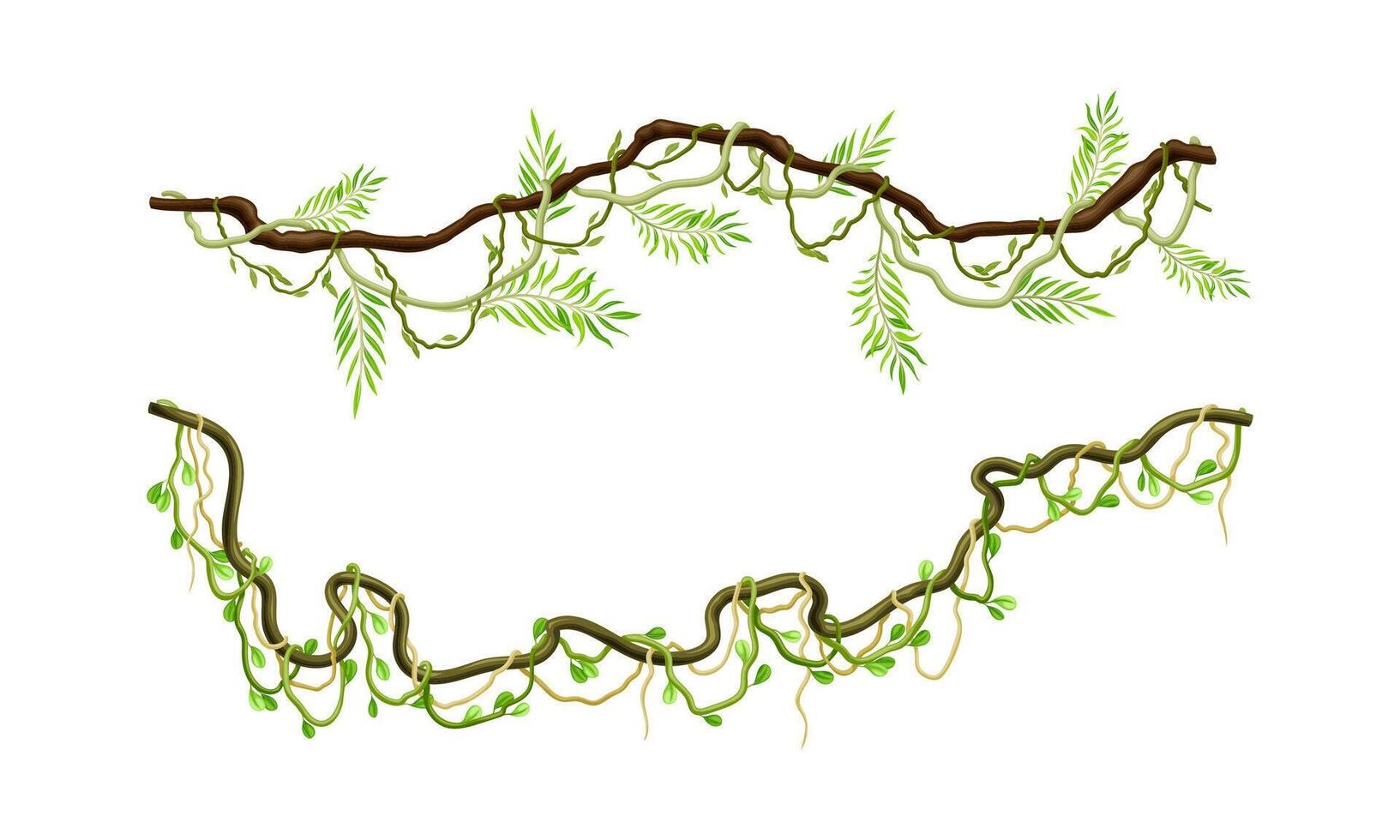 Green climbing branches set. Tropical climbing plants, twigs of tropical vines and trees illustration vector