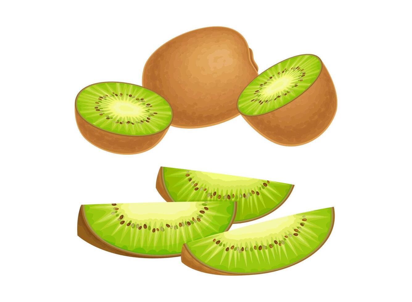 Fresh ripe exotic kiwi set. Whole and pieces of sweet organic fruit illustration vector