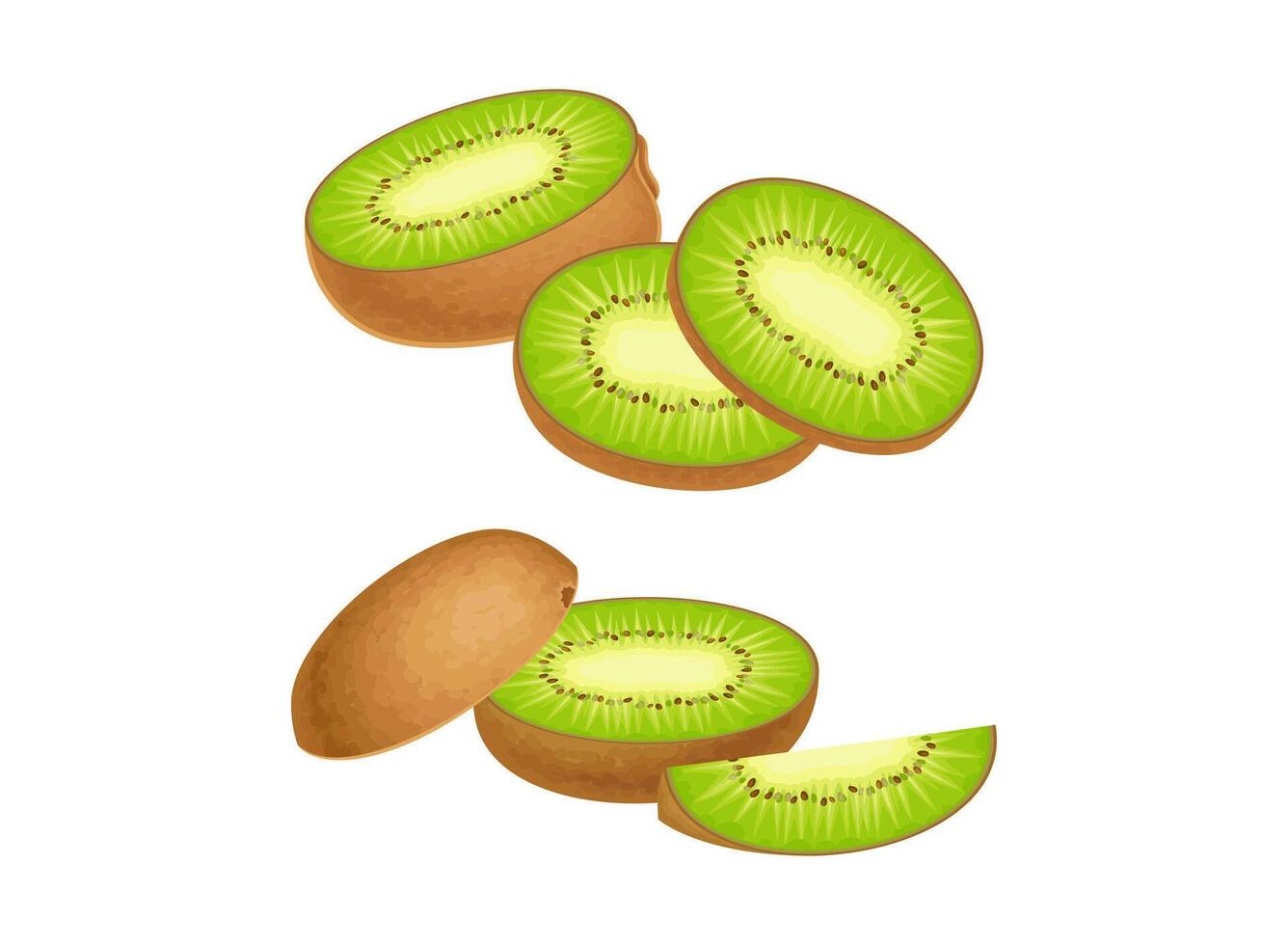Fresh ripe kiwi set. Sliced sweet organic fruit illustration vector
