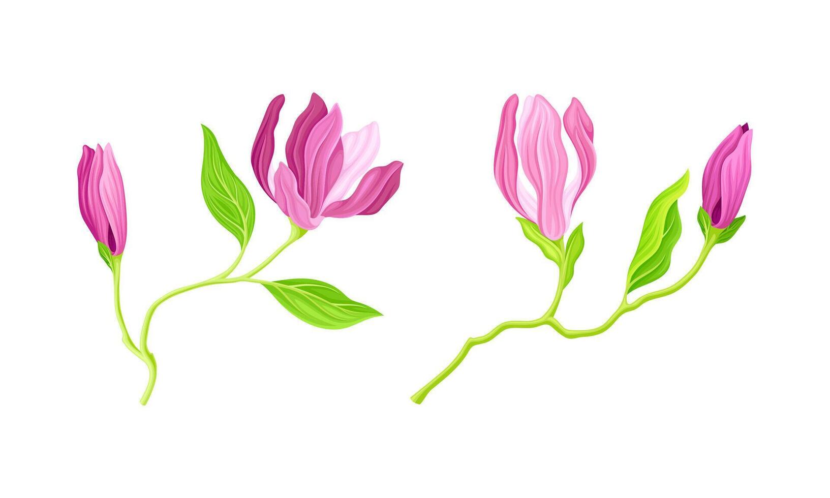 Pink flowers with stem and leaves, greeting card or invitation design illustration vector