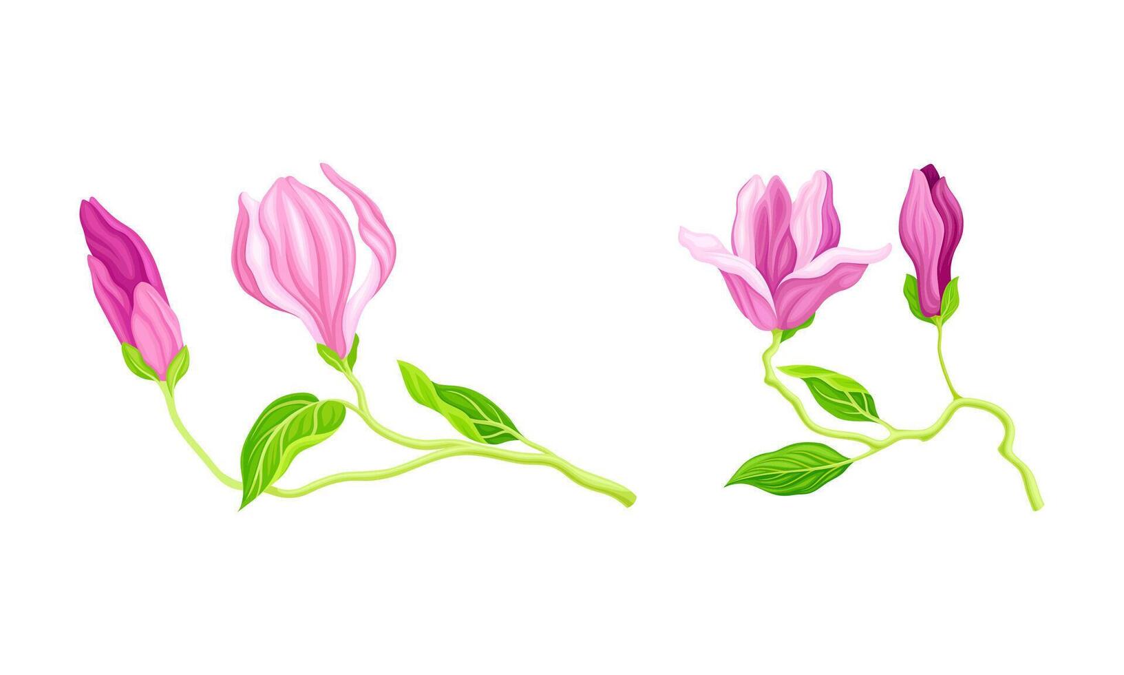 Twigs with pink flowers, green leaves and buds, greeting card or invitation design illustration vector